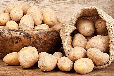 Steam新游周报：独立扎堆 2025科隆游戏展盛大开幕！